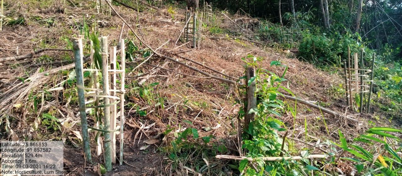 D:\VILLAGE REPORT PICTURES\UMLING BLOCK\saiden\WhatsApp Image 2023-03-14 at 11.46.16 AM (1).jpeg